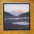 Load image into Gallery viewer, NDTank - Sunset Bear Scape
