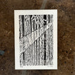 Load image into Gallery viewer, Forest Rays - Cat and crow