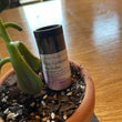 Load image into Gallery viewer, Silver Market Co. - Lip Balm
