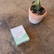 Load image into Gallery viewer, Silver Market Co. - Soap Bar