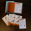 Load image into Gallery viewer, Backyard Birding Identification Flashcards - Sibley