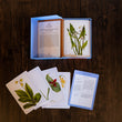 Load image into Gallery viewer, Wildflower Identification Flashcards - New York Botanical Garden