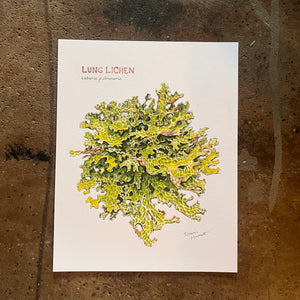 Lung Lichen - Rosalie Haizlett