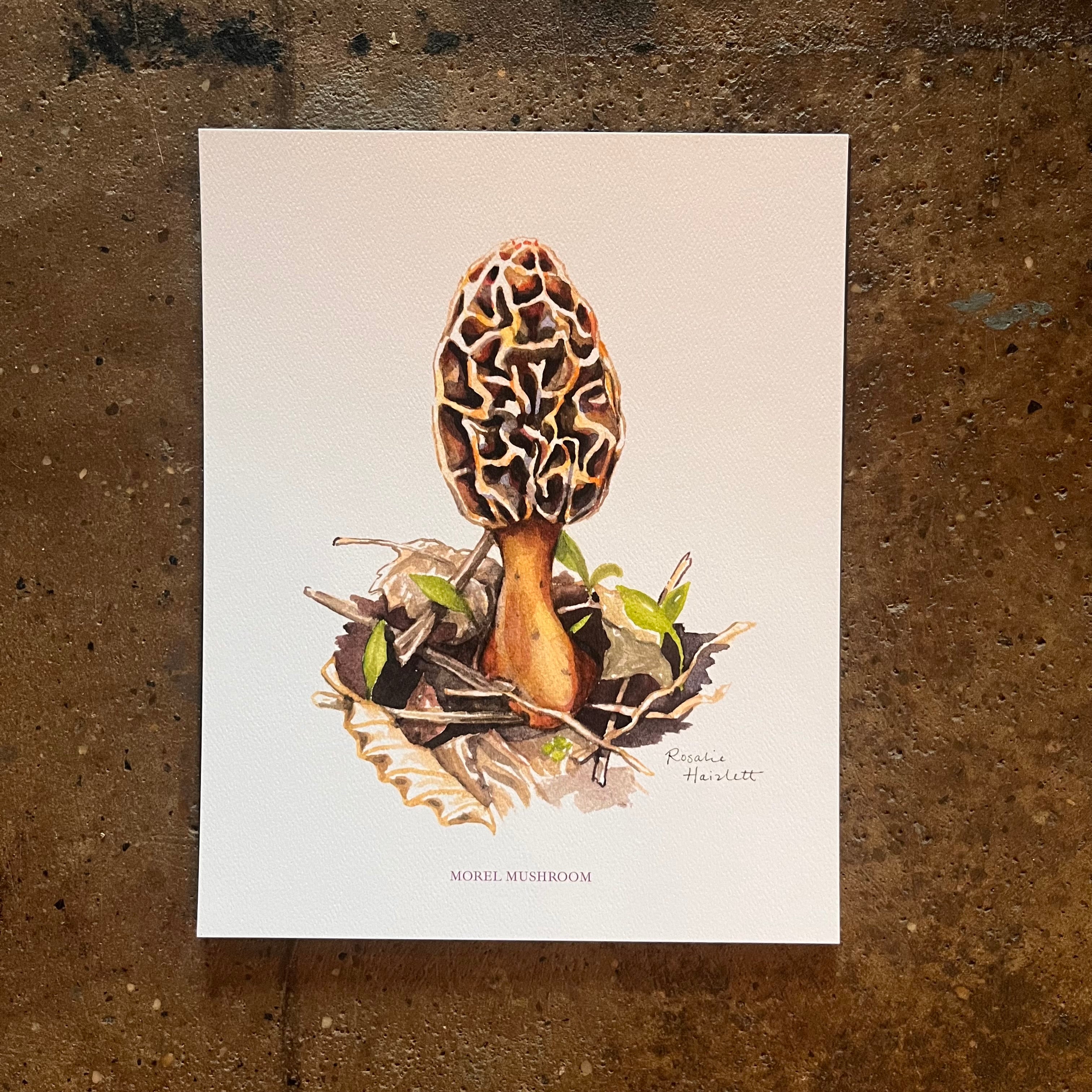 Morel Mushroom - Rosalie Haizlett – Lost Appalachia Trading Company
