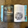 Load image into Gallery viewer, Birds - Explore their extraordinary world - Miranda Krestovnikoff &amp; Angela Harding
