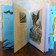 Load image into Gallery viewer, Birds - Explore their extraordinary world - Miranda Krestovnikoff &amp; Angela Harding
