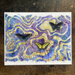 Load image into Gallery viewer, Swallowtails and Mimic: Pinned and Stitched - Sadie Valzetta
