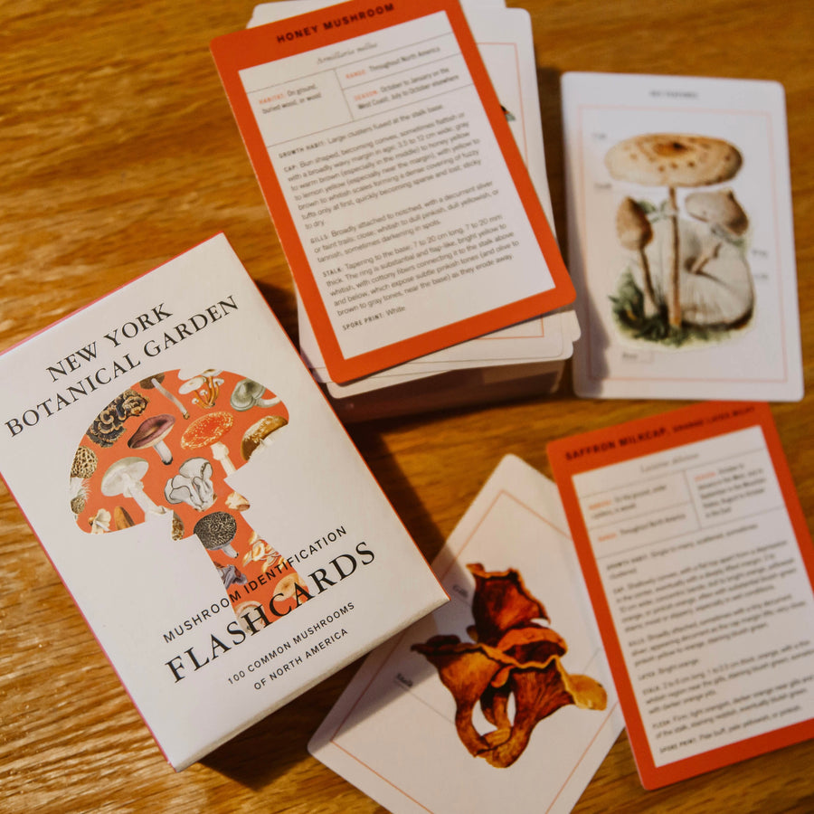 Mushroom Identification Flash Cards - New York Botanical Garden