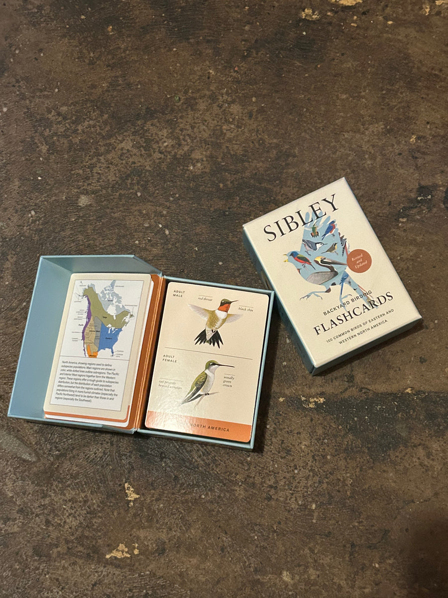 Backyard Birding Identification Flashcards - Sibley