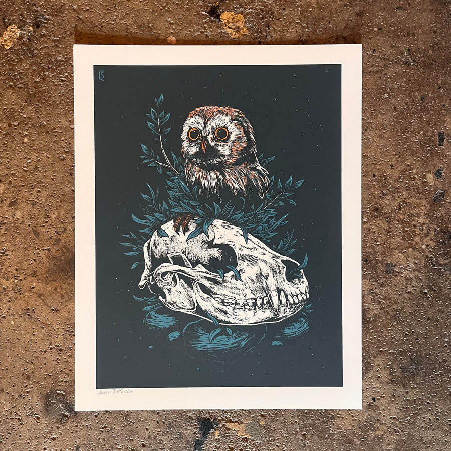 Crystal Owl - Logan Scmitt