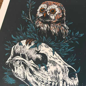 Crystal Owl - Logan Scmitt