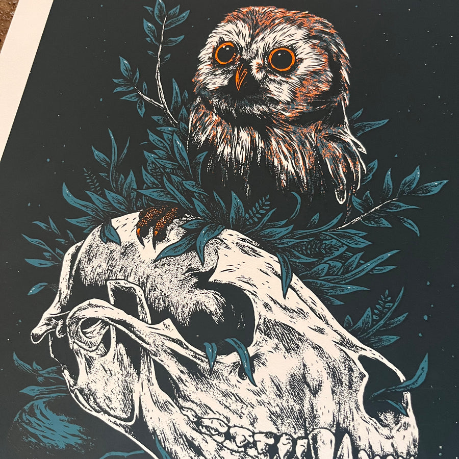 Crystal Owl - Logan Scmitt