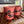 Load image into Gallery viewer, Rhododendron Fiesta Mug
