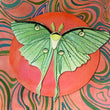 Load image into Gallery viewer, Luna Moth:  Pinned and Stitched - Sadie Valzetta
