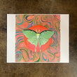 Load image into Gallery viewer, Luna Moth:  Pinned and Stitched - Sadie Valzetta
