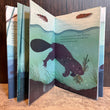 Load image into Gallery viewer, Over and Under the Pond - Kate Messner
