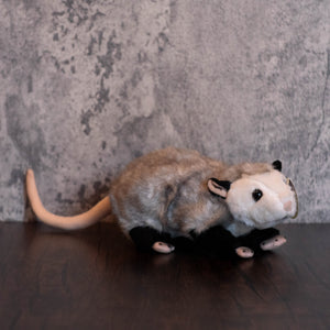 9" Opossum Harry