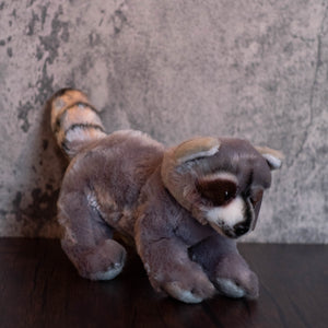 7" Raccoon Lil' Rocko