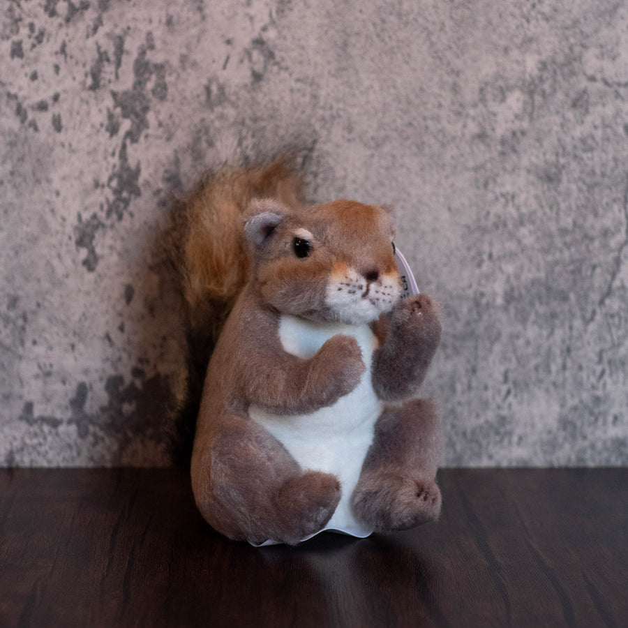 7" Squirrel Lil' Peanut