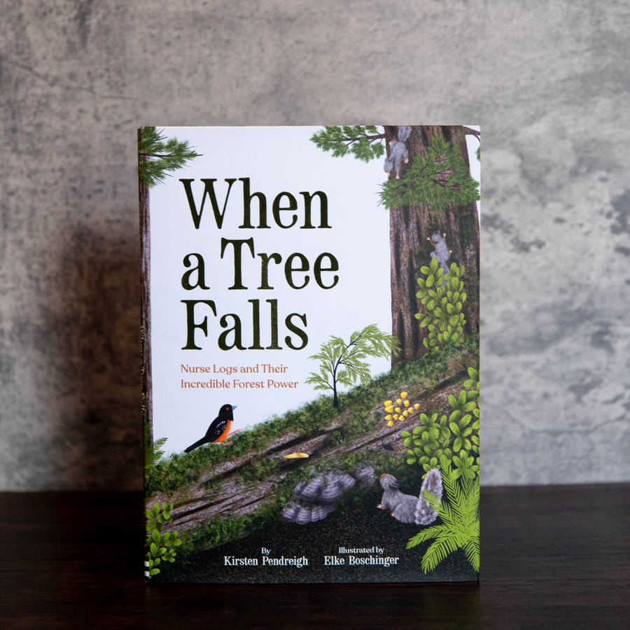 When a Tree Falls by Kirsten Pendreigh
