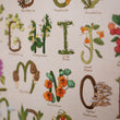 Load image into Gallery viewer, ABCs of Foraging Print by Mossy Morels
