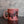 Load image into Gallery viewer, Rhododendron Fiesta Mug
