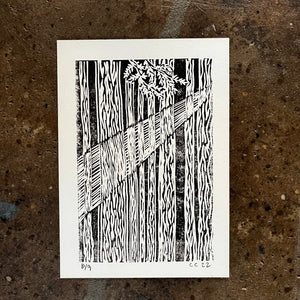 Forest Rays - Cat and crow