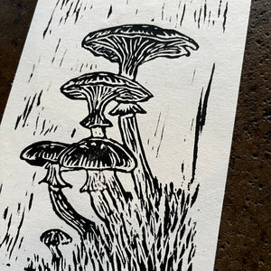 Mushrooms - Cat and Crow