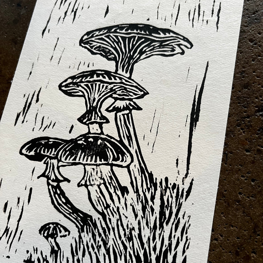 Mushrooms - Cat and Crow