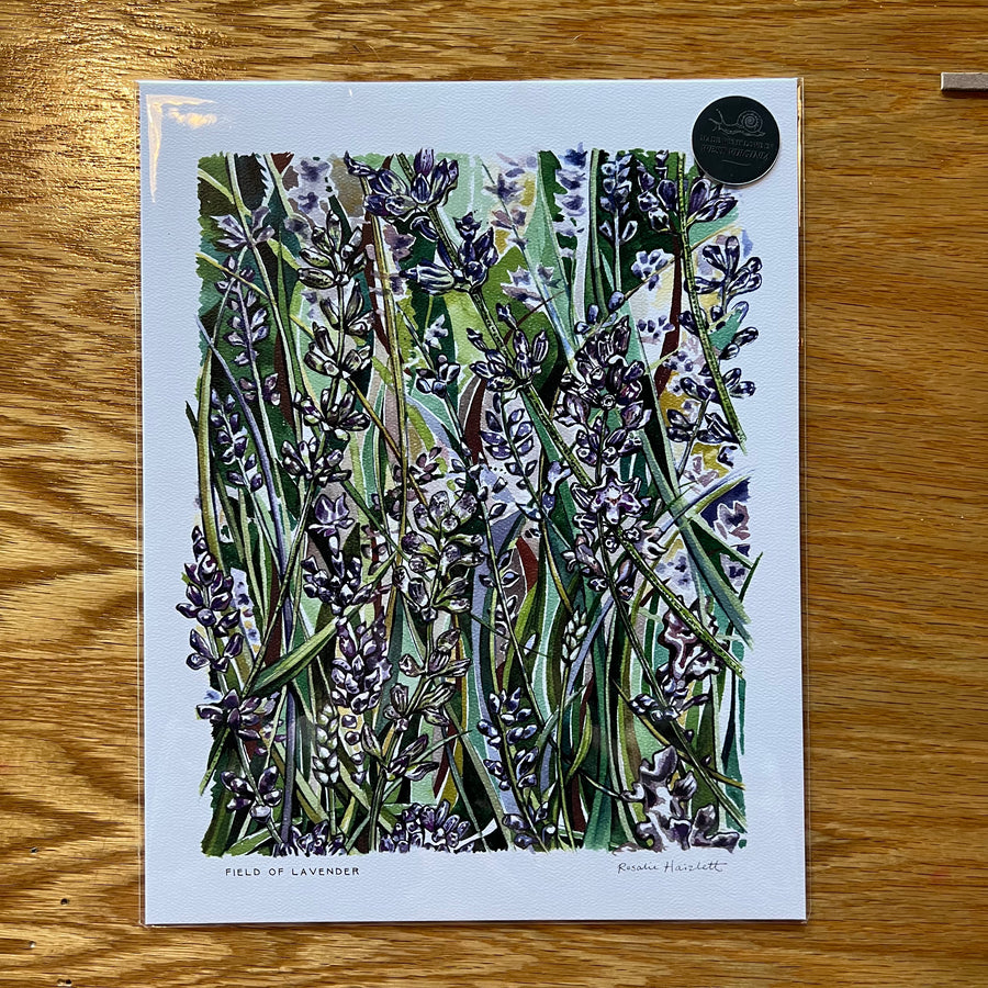 Field of Lavender - Rosalie Haizlett