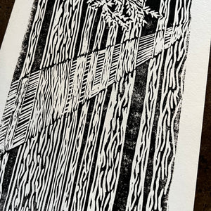 Forest Rays - Cat and crow