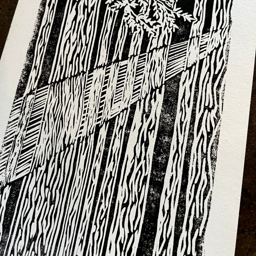 Forest Rays - Cat and crow