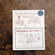 Load image into Gallery viewer, New River Gorge National Park Colorable Art Print Set - Rosalie Haizlett
