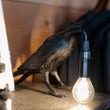 Load image into Gallery viewer, Crow Lamp
