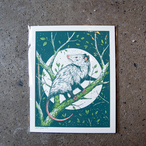 Opossum - Logan Schmitt – Lost Appalachia Trading Company