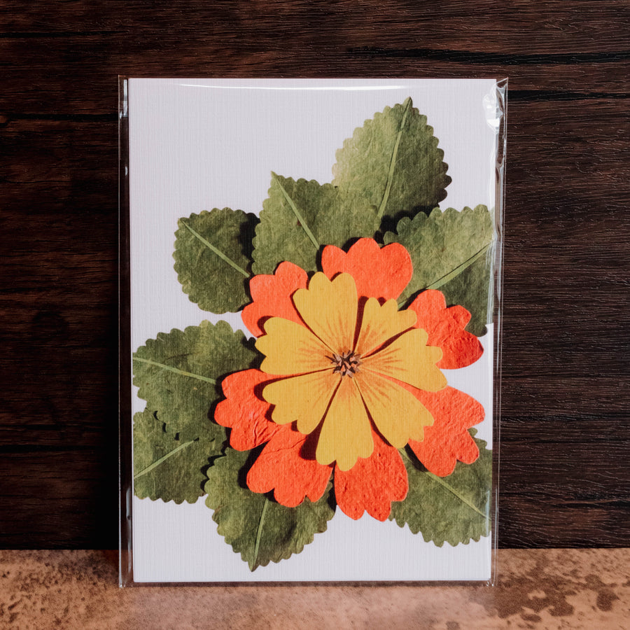 Common Eminent Ardentia Print - Nevada Trimble