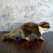 Load image into Gallery viewer, Medium Otter Stuffed Animal
