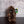 Load image into Gallery viewer, Beaver Stuffed Animal
