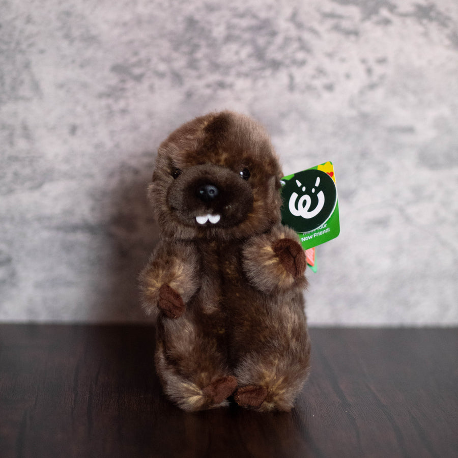 Beaver Stuffed Animal