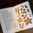Load image into Gallery viewer, The Wildlife Year by Sally Coulthard

