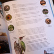 Load image into Gallery viewer, Wilding: How to Bring Wildlife Back - an Illustrated Guide Book by Isabella Tree
