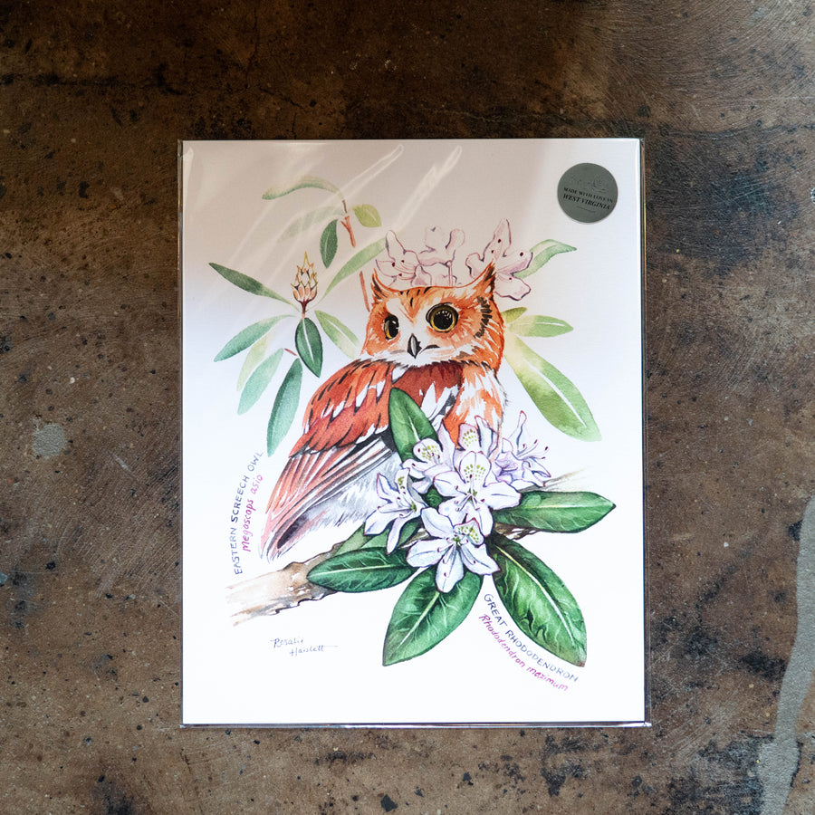 Screech Owl & Rhododendron - Rosalie Haizlett