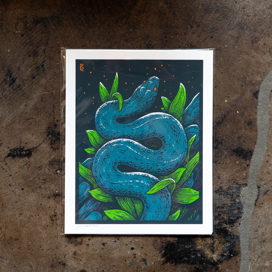 Starlight Snake  - Logan Scmitt