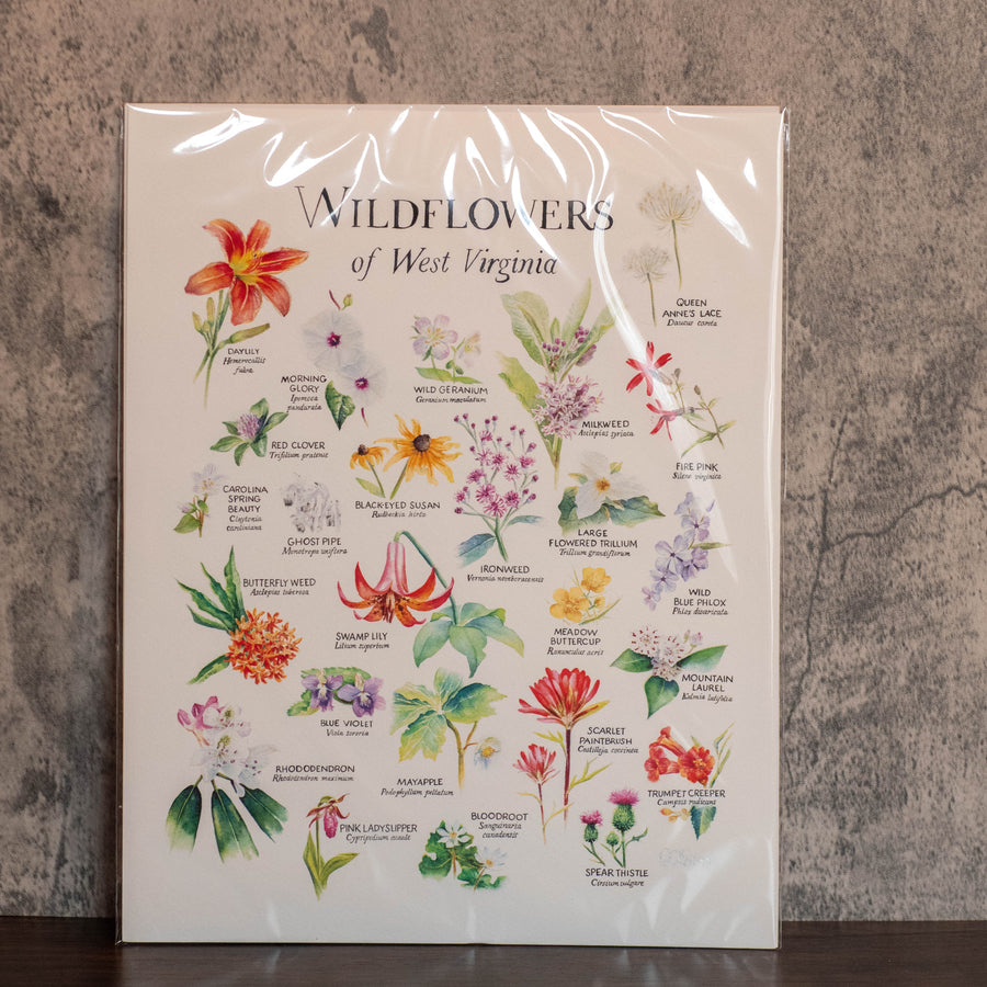 Wildflowers of West Virginia- Octavia Spriggs