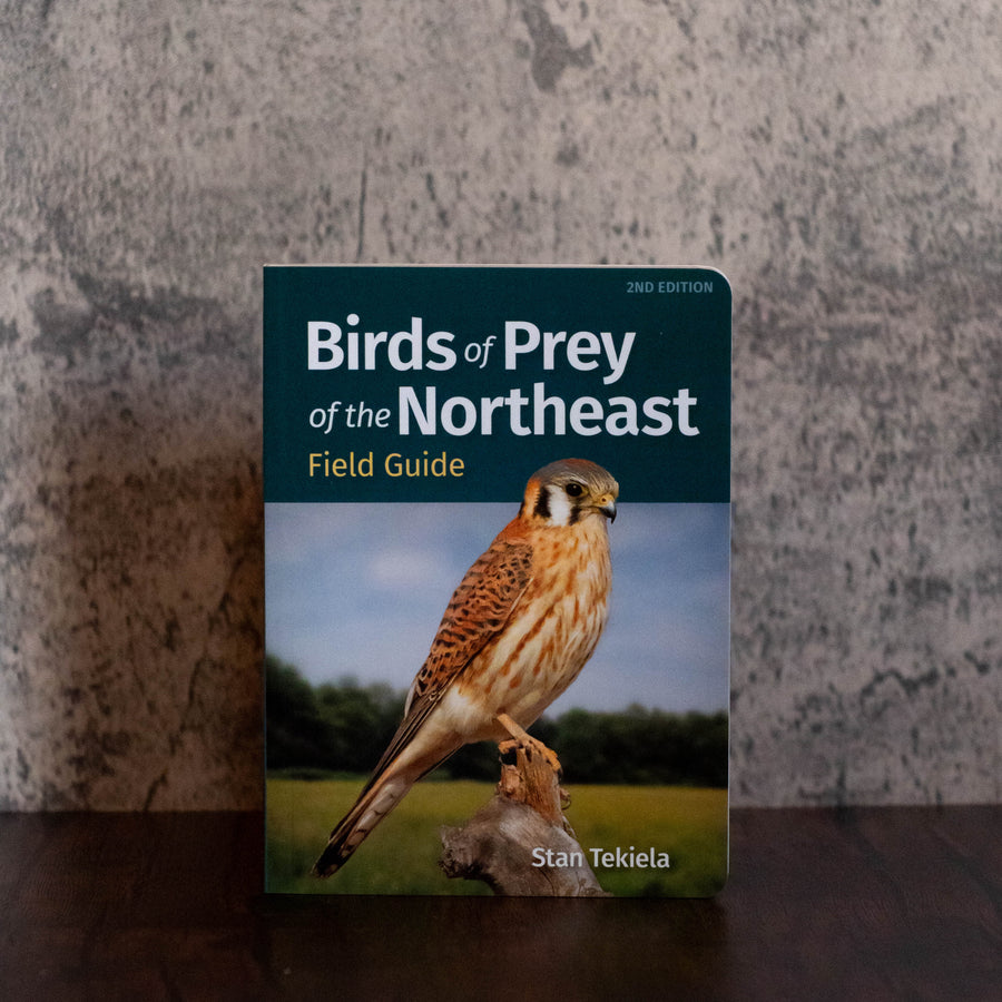 Birds of Prey of the Northeast - Field Guide by Stan Tekiela