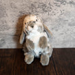 Load image into Gallery viewer, Lop Eared Rabbit Stuffed Animal
