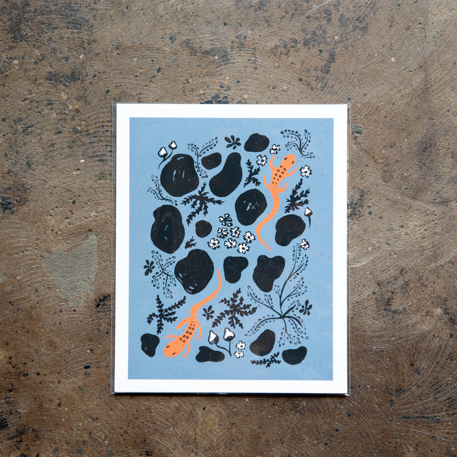 Newts in the Rocks - NDTank