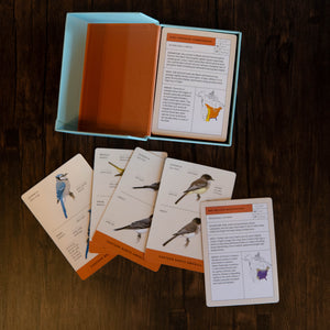 Backyard Birding Identification Flashcards - Sibley