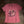 Load image into Gallery viewer, Embrace The Wild - Women’s V-Neck
