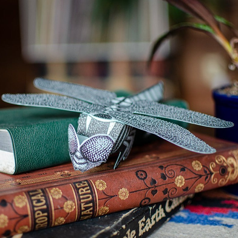 Dragonfly Paper Sculpture - Questionable Press
